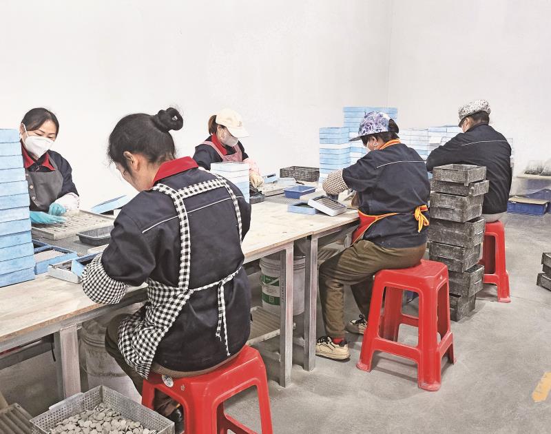 　　陕西国胜鑫隆电子科技有限公司压敏电阻器生产线上，员工们正在加班加点赶订单。 通讯员 董小华摄