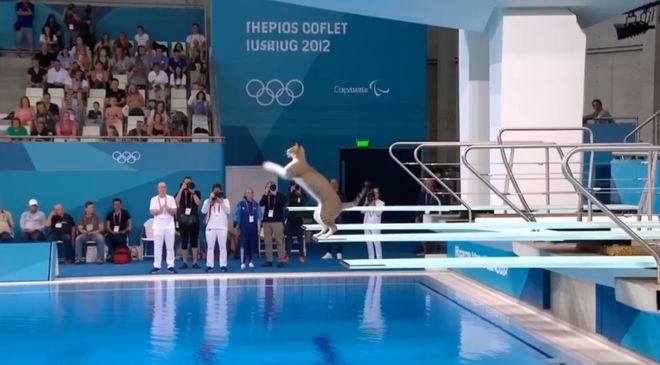 又一AI独角兽冲刺港股IPO，阿里腾讯跟投，员工平均95后