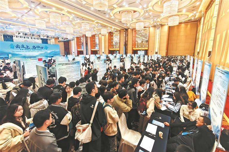 山海情牵 青力青为——青海省2025年下半年“组团式”赴外引才活动综述