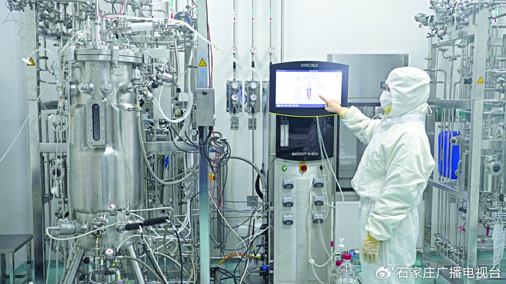 图为华北制药金坦公司智能化生产线正在紧张有序地进行药品生产。石家庄日报首席记者 张 震 摄