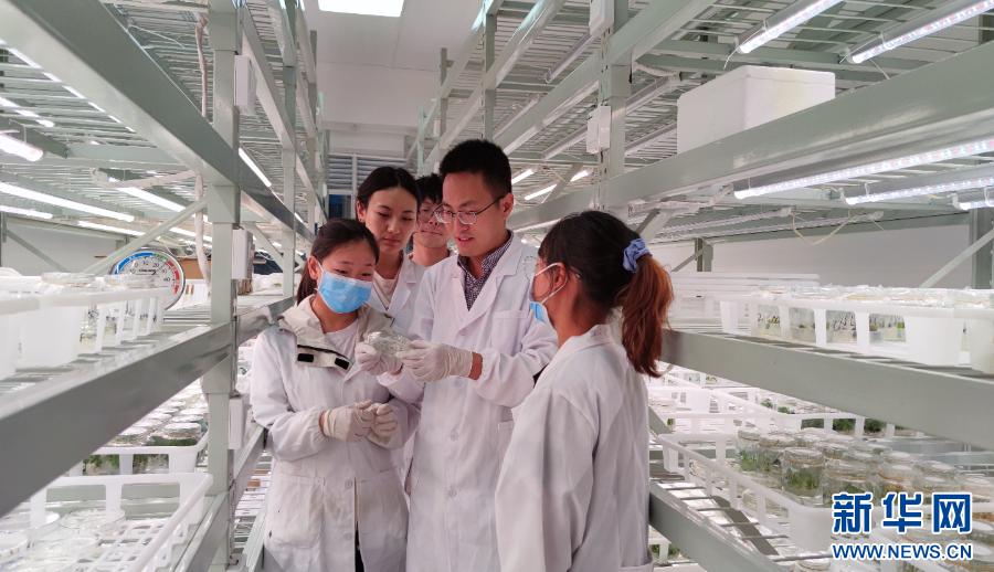李帆（前左二）在实验室（12月18日摄）。新华网发（杨桢宇 摄）