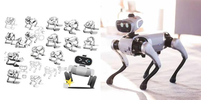 原地平线智能驾驶总裁创业机器人一年：9988元，养一只家里的“小狗哥”