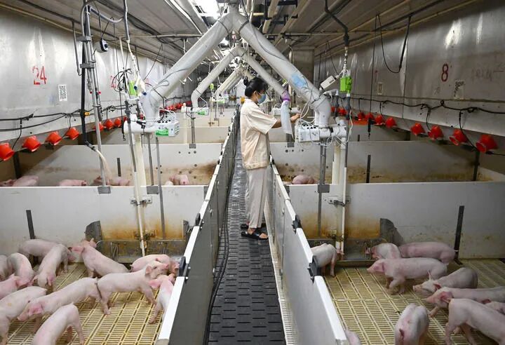 ������Ա��������ԭ��ʳ��ҵ�ۺ��������β鿴�������������8��20���㣩���»������ ��Դ ��