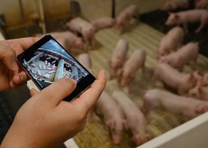 ������Ա��������ԭ��ʳ��ҵ�ۺ���ͨ���ֻ��鿴���������ᵥԪ��8��20���㣩���»������ ��Դ ��