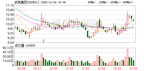 武商集团：公司暂未收到达孜银泰的减持函告