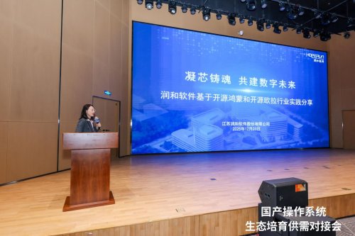 润和软件副总裁丽娜作主题分享