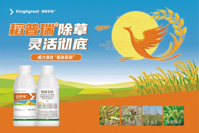 (本图为广告,与下文无关)