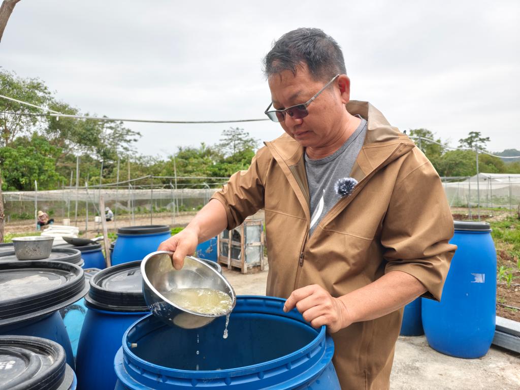 12月10日，在香港元朗石湖围新村，鸿日农庄主理人黄展明检查自制酵素的成色。新华社记者 刘英伦 摄