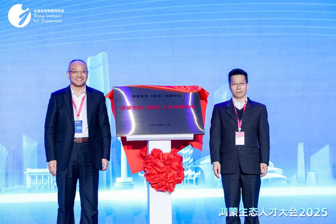 12��27�գ���������̬�˲Ŵ��2025�����人�������������С�������ͼƬ��