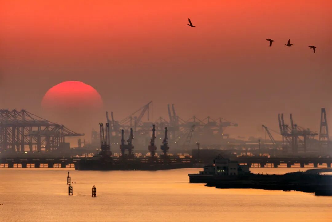 安通杯全球港航摄影大赛获奖作品© 作者：王金德