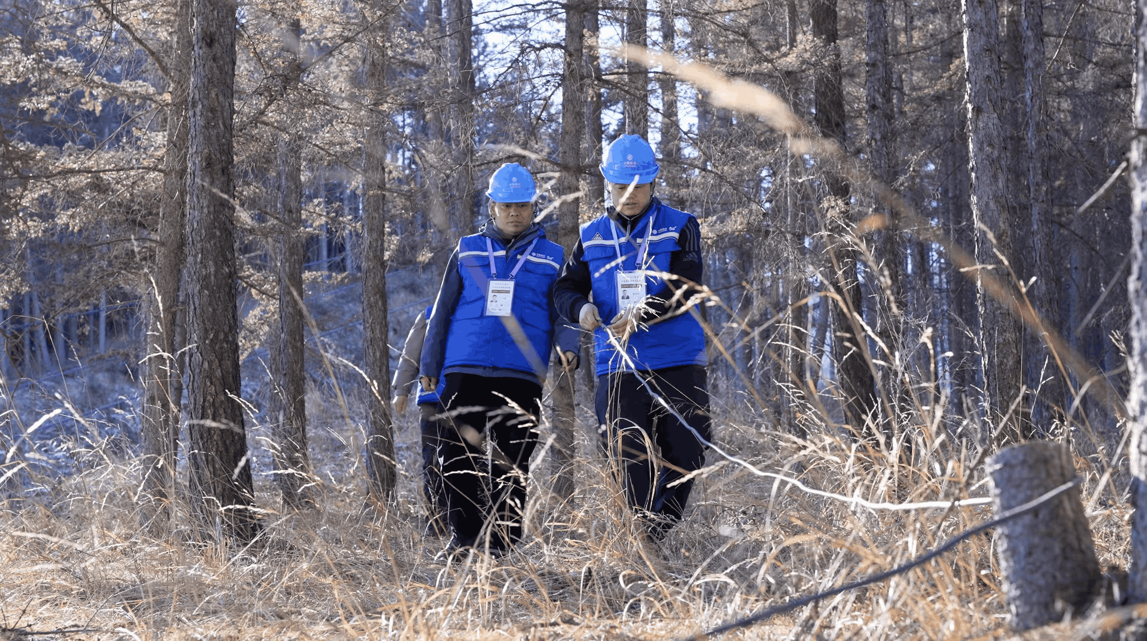 ר��ҵ��Ѳ��