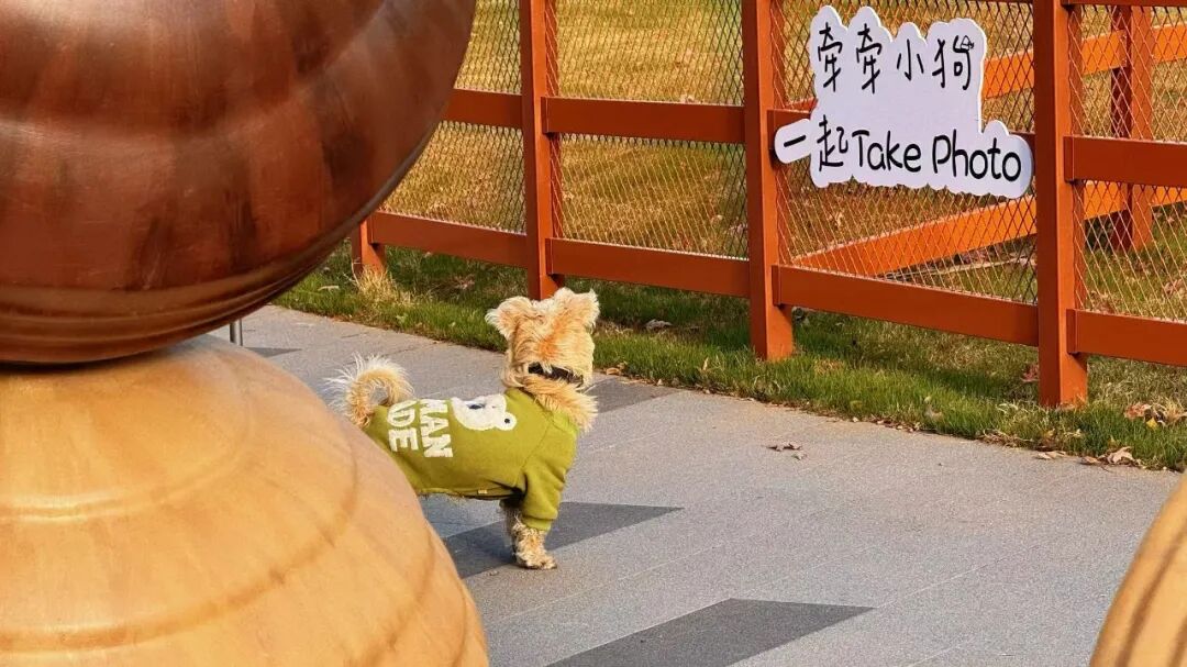 *图源招商武汉城建未来中心，侵删