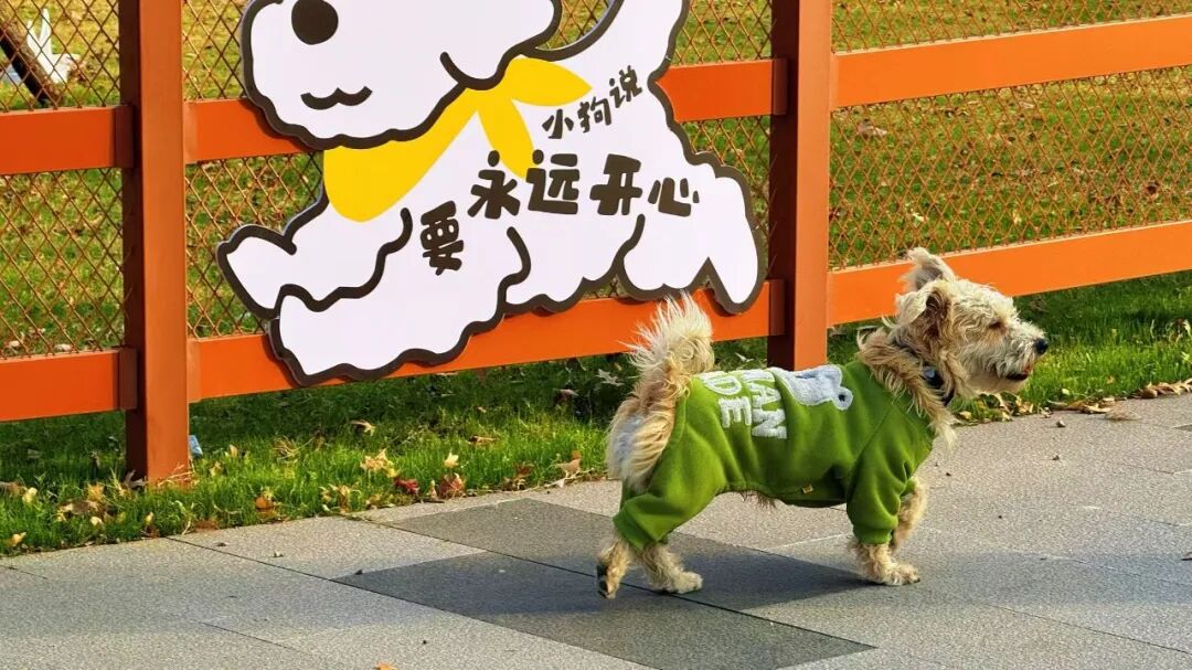 *图源招商武汉城建未来中心，侵删