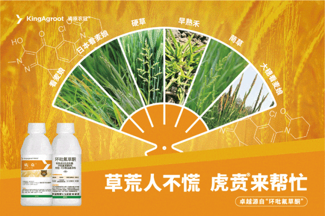 (本图为广告,与下文无关)