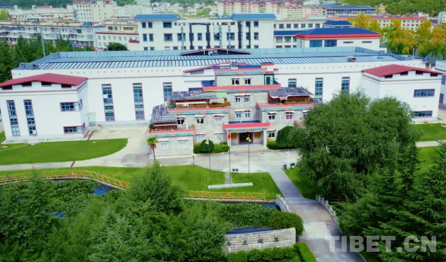 ͼΪ������ҩ��֥��������