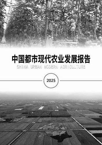 上海交通大学供图