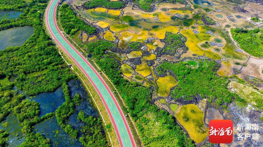 灵活又惬意！暑期海南环岛自驾游受追捧