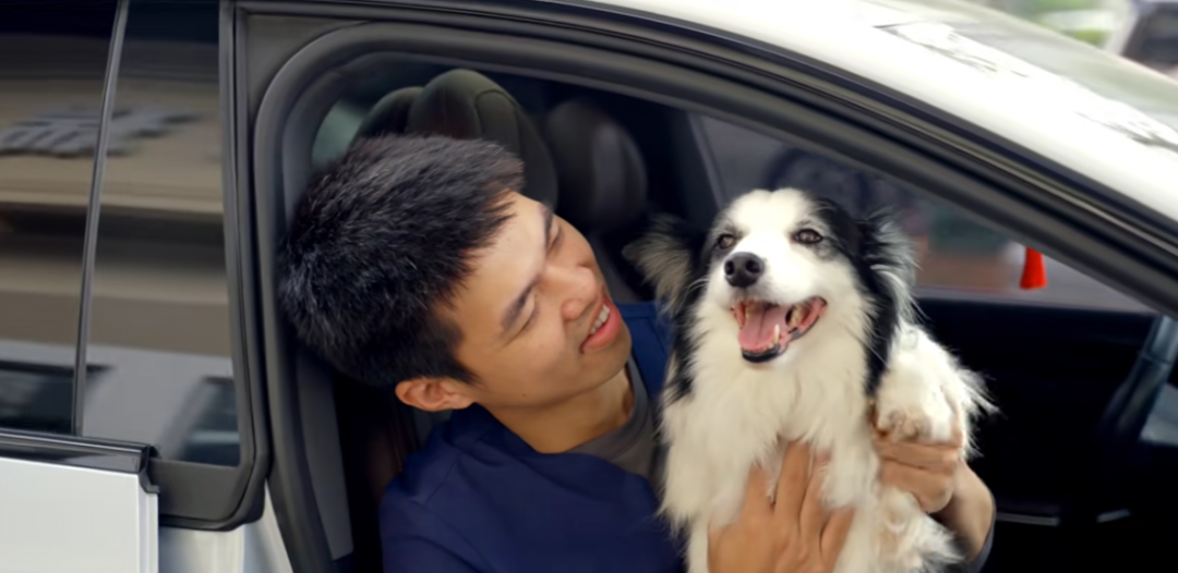 零跑10报丨与全球120万+零居一起，创造更多幸福感