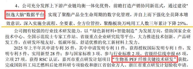 ��Դ��2025����걨- ����ʯ�����ϣ����·������£�