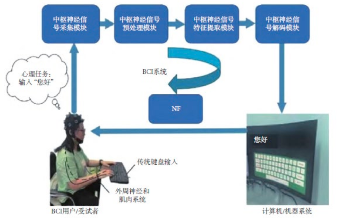 资料来源:伏云发等《脑机接口(