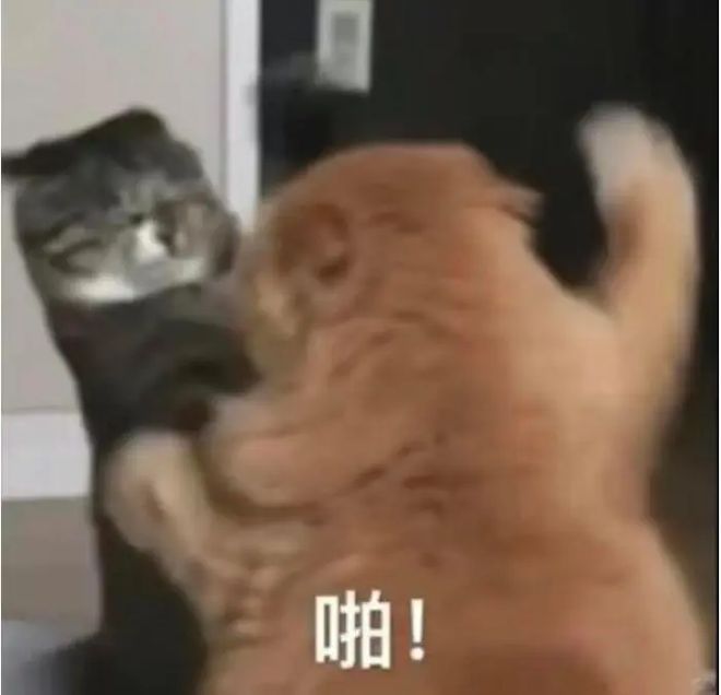 打了2009天的社区团购，还是拼多多笑到了最后。