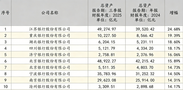 2024��-2025�������������ʲ���ģ����ǰʮ