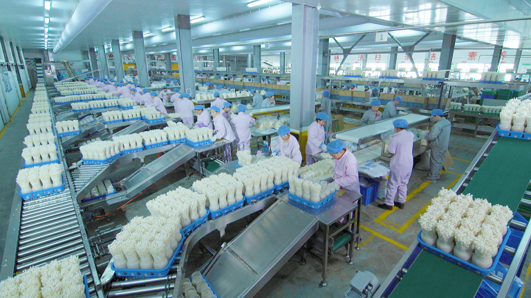 ѩ������������ ��˾��ͼ