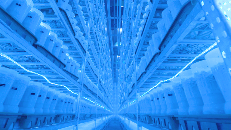 雪榕生物生产线 公司供图