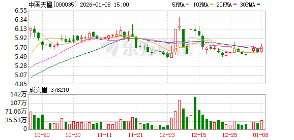 中国天楹:公司正在全力推进吉林辽源、黑龙江安达等氢基能源一体化标杆项目建设