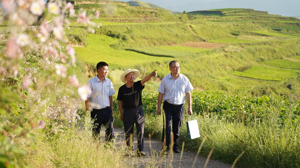 �ʴ�����¤���з��пͻ������߷�ҩ����ֲ��