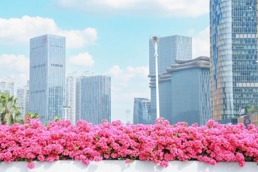 横琴粤澳深度合作区