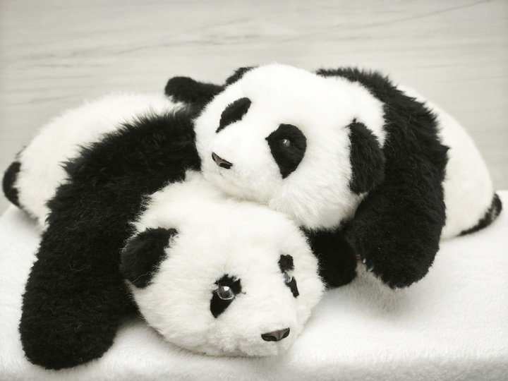 ▲图片来源:https://web.wxbionics.com/