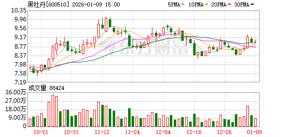 黑牡丹：不存在对外担保逾期的情况