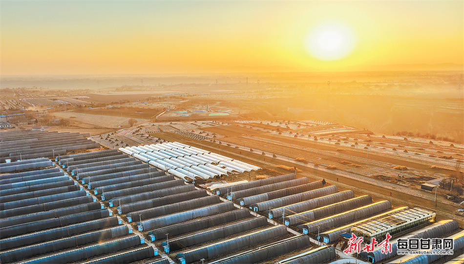 镇原县平泉镇马洼村的甘肃菌临天下生态农业有限责任公司食用菌种植基地内整齐排列的菌菇大棚。