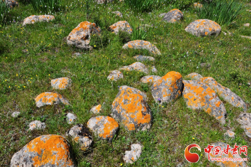 　　（祁连山冰沟河景区供图）