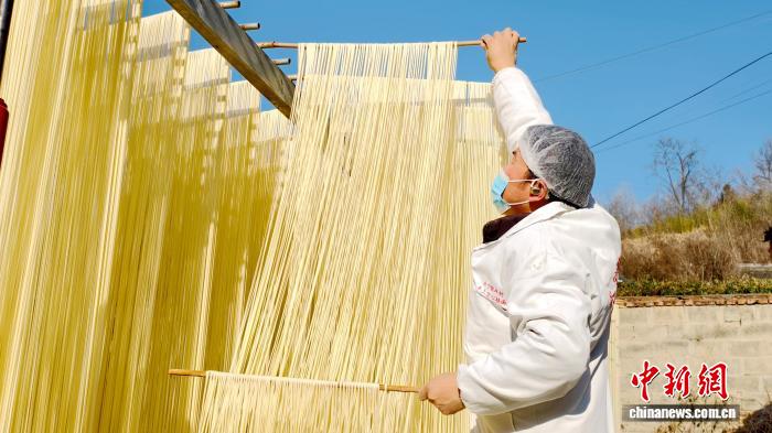 圖為1月初，甘肅隴南市徽縣永寧鎮綠鑫手工空心掛面農民專業合作社內，師傅們在晾曬手工掛面。何方 攝