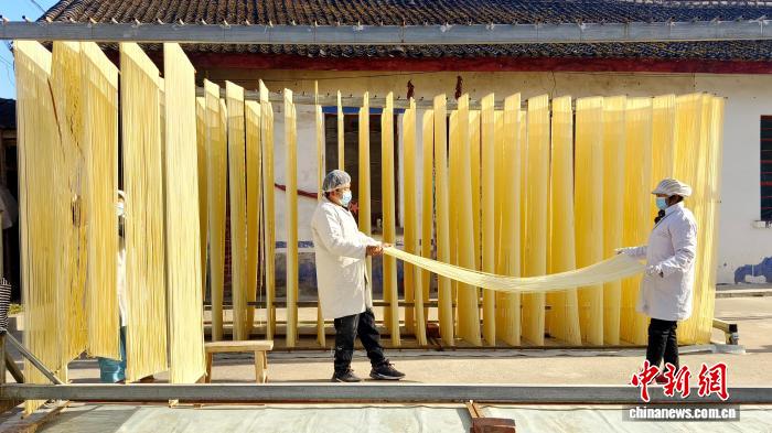 圖為1月初，甘肅隴南市徽縣永寧鎮綠鑫手工空心掛面農民專業合作社內，師傅們在晾曬手工掛面。何方 攝