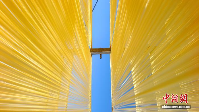 圖為1月初，甘肅隴南市徽縣永寧鎮綠鑫手工空心掛面農民專業合作社內晾曬手工掛面。何方 攝