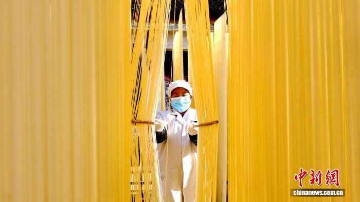 圖為1月初，甘肅隴南市徽縣永寧鎮綠鑫手工空心掛面農民專業合作社內，師傅們在晾曬手工掛面。何方 攝