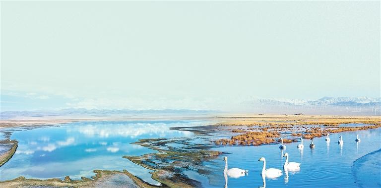 小苏干湖湿地 郎兵兵