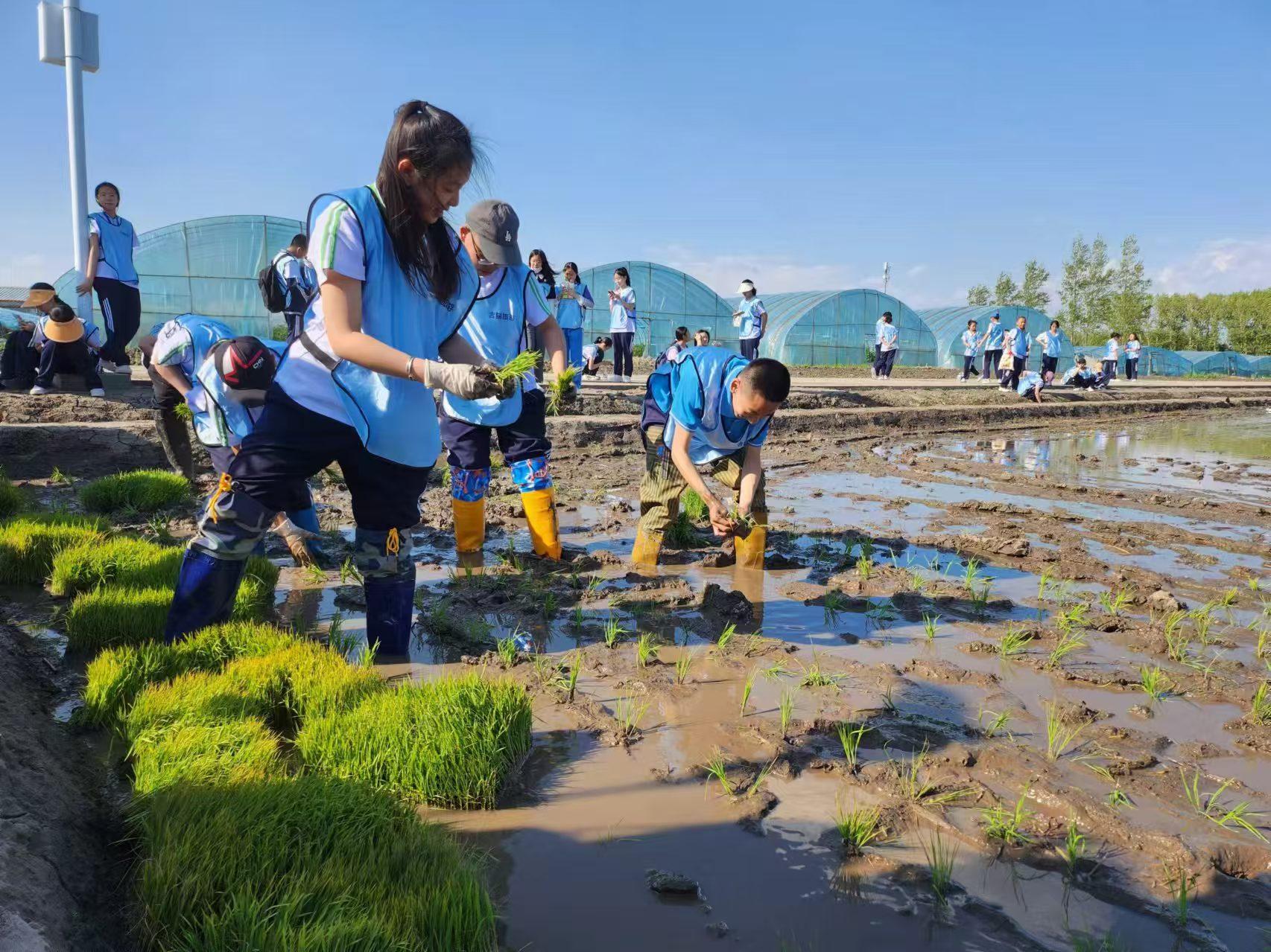 ��ѧ�������