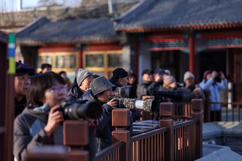 ������԰��������Ӱ�������ڰ�������̫ƽ��