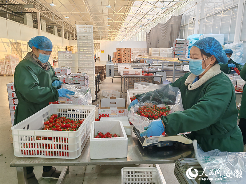 正在打包的工人。人民網 丁紀攝