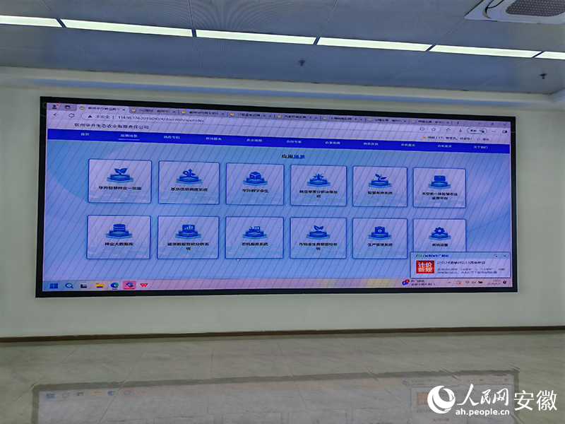 宿州華升種業數字化平台。人民網 丁紀攝