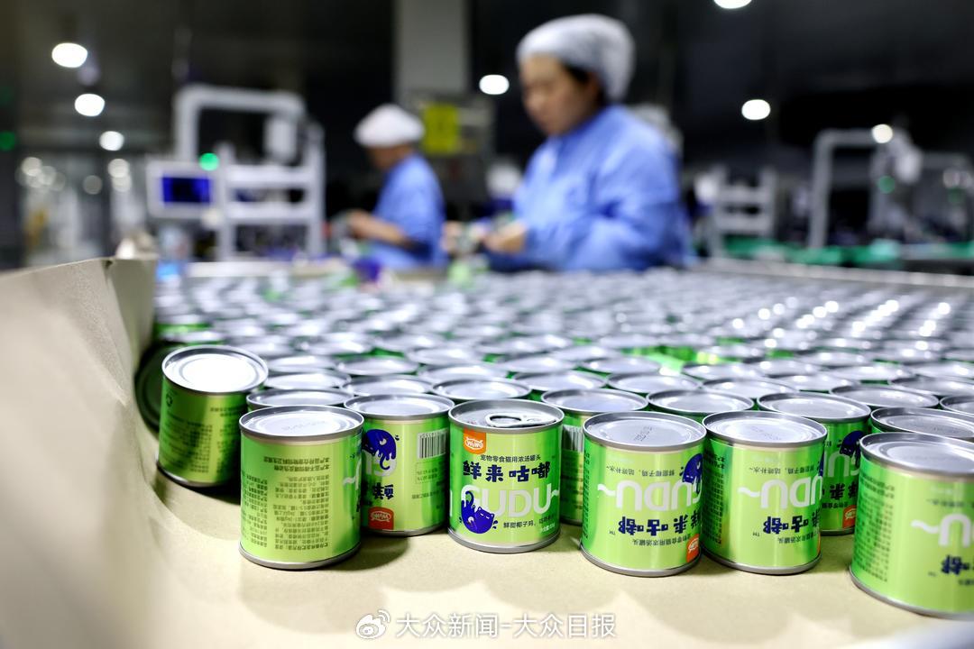 在曹县一家宠物食品企业，工人在加紧生产宠物罐头。（记者 王培珂 供图  ）