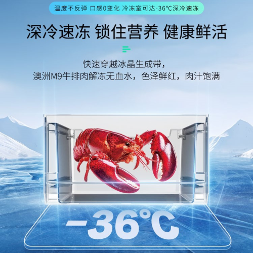 ���ܸ���+SDP+����:�����¡�������,���ʸ�����