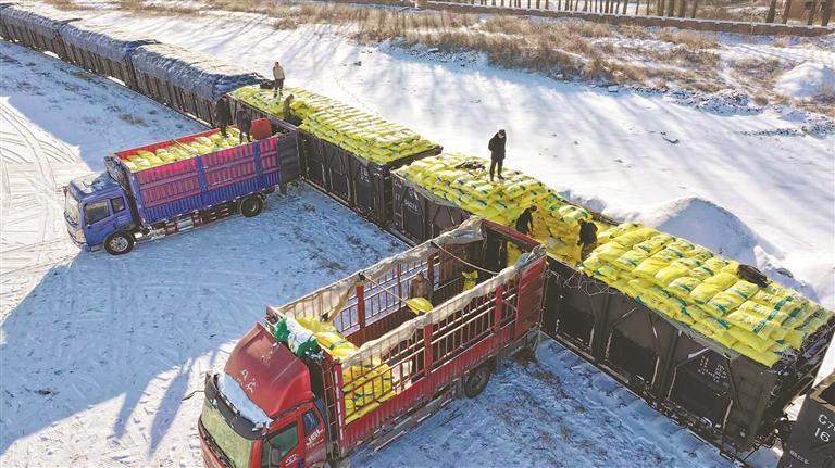 北大荒农业股份新华分公司铁路专线运输装卸肥料。李云玮摄