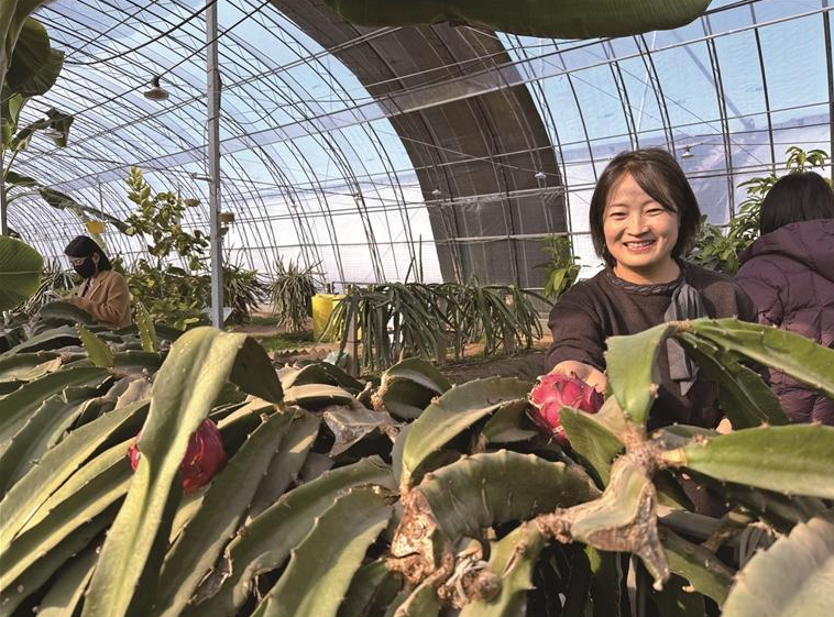 杨凌：“南果北种”蹚出致富路