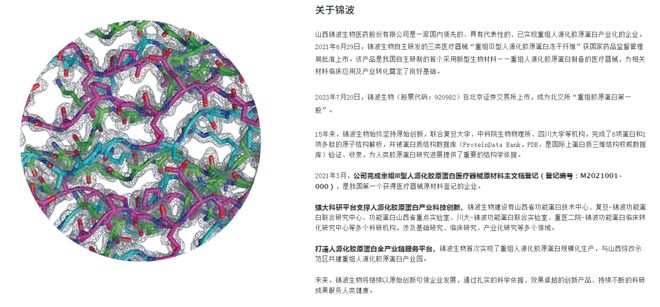 （来源：锦波生物官网）