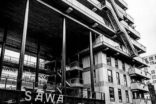 图片来源:Hollandse Hoogte/Shutterstock